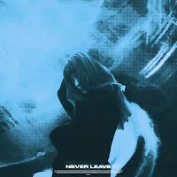 Dvrst — Never Leave Ft Øneheart — обложка